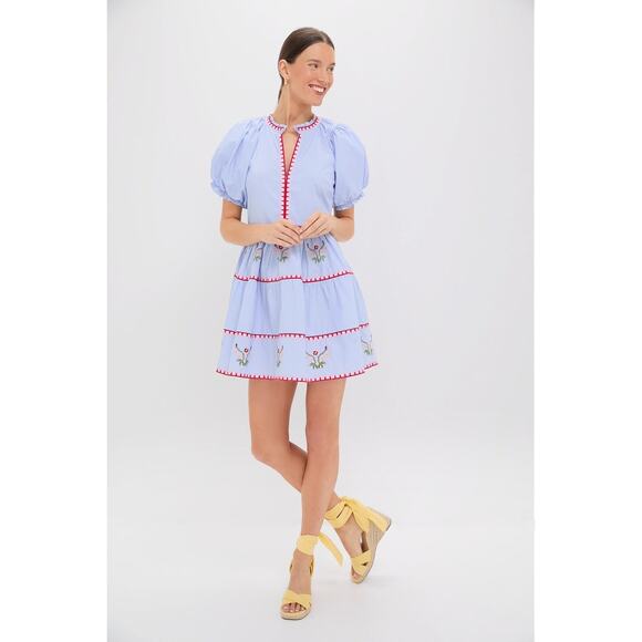 HYACINTH HOUSE Blue Pinstripe Embroidered V-Neck Lillian Mini Dress Size XS NWT - Picture 5 of 8